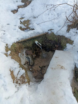 Святой источник великомученицы Екатерины