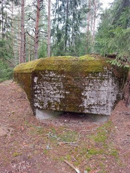 ДОТ № 101 КингУР в Кирьямо