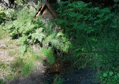 Родник близ Кирьямо