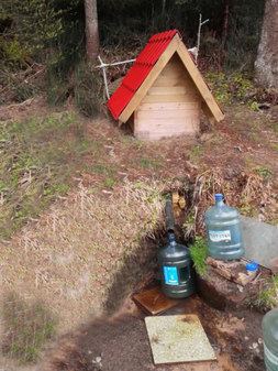 Родник близ Кирьямо