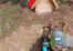 Profilerecomendthumb           3
