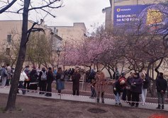 Сад Дружбы в Санкт-Петербурге