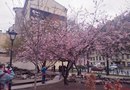 Сад Дружбы в Санкт-Петербурге