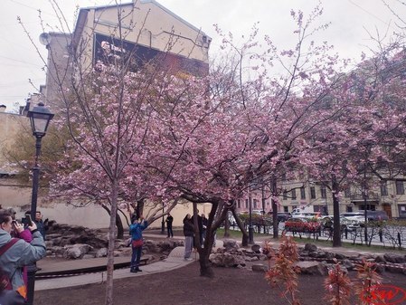 Сад Дружбы в Санкт-Петербурге