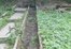 Profilerecomendthumb          3
