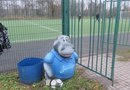 Стадион в Полежаевском парке