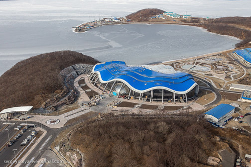 Приморский океанариум на острове Русский во Владивостоке