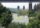Река Теча