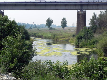 Река Теча