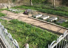 Братское кладбище воинов советской армии в урочище Мариам-Дере 