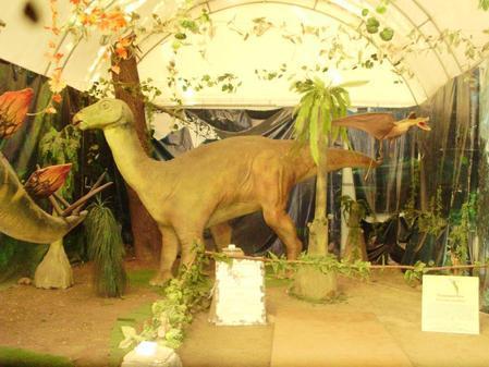 Выставка динозавров