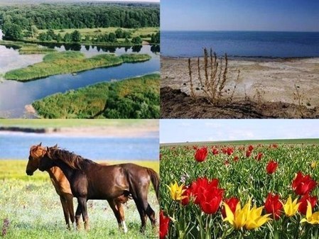 Остров на озере Цаган-Хак, Ремонтненский район, Ростовская область