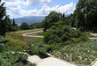 Никитинский ботанический сад