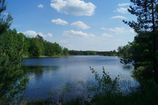 озеро Черепаха, Нижегородская область, Сосновский район