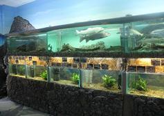 Музей-аквариум "Рыбы Амура"
