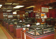 Музей естественной истории 