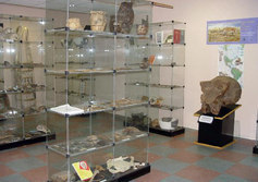 Музей естественной истории 