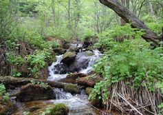 База отдыха "Горячий ключ" 