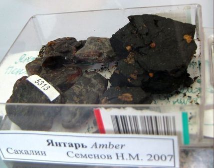 Геологический музей в Южно-Сахалинске