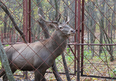 Маршалково. Парк в г. Строитель.