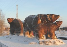 Памятник белым медведям в Ноябрьске ЯНАО