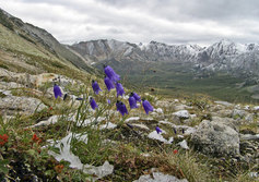 Баргузинский природный биосферный заповедник