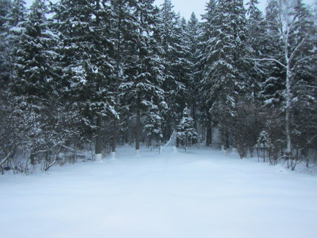 Памятник экипажу Пе-3 на Лениградском шоссе