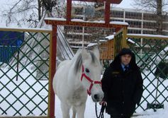 Музей кочевой культуры