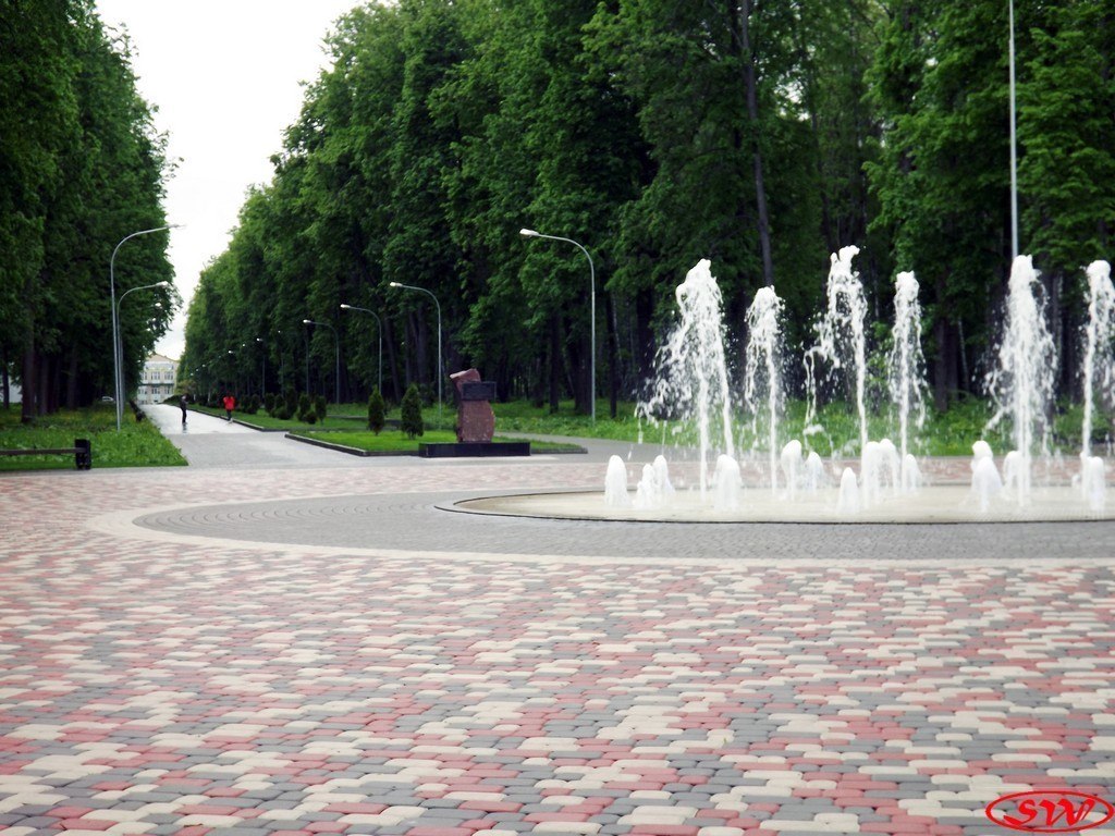 Парк новомосковск