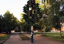 Светофорное дерево