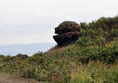 Скала "Черепаха" возле мыса Ламанон