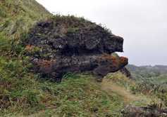 Скала "Черепаха" возле мыса Ламанон