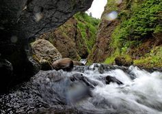 Водопад на реке Вязовка расположен в непосредственной близости от мыса Стукамбис. 
