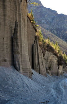 Памятник природы песчаная стена на береговой террасе Катуни