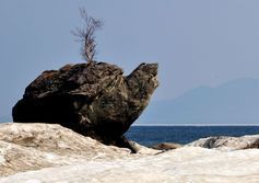 Скала-памятник "Каменная черепаха" на восточном берегу Байкала
