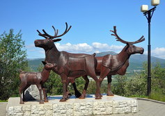Скульптурная композиция «Олени» установлена у Колымской трассы в Магадане. 