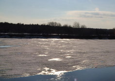 Река Колва возле Покчи Пермский край