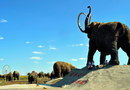 Самое большое в мире стадо Мамонтов в Маньчжурии возле Забайкальска