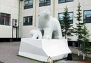 «Белые медведи»