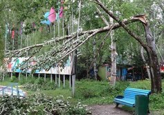 Сахалинский ботанический сад в Южно-Сахалинске
