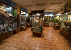 Андреапольский районный краеведческий музей