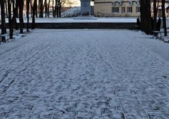 Памятник В.И.Ленину в городском парке г.Ярцево Смоленской области