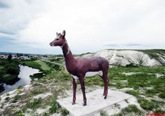 Олень на меловой горе