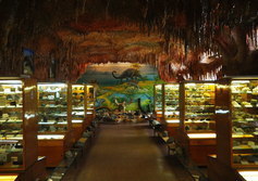 Музей «Геологическая коллекция» в городе Ухта