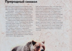 Памятники обуревшим медведям в Усинске