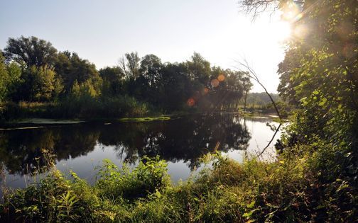Озеро возле села Покровка в Белгородской области