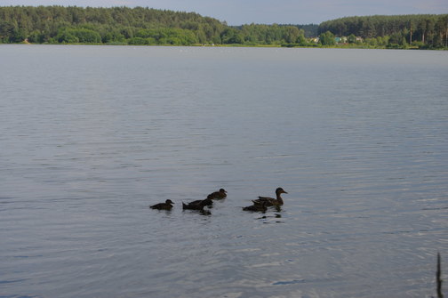 Озеро Крутое