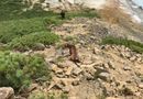 Озера - Кипящее и Горячее в кальдере вулкана Головнина на острове Кунашир