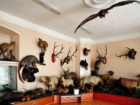 Музей охотоведения в Иркутске