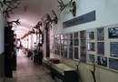 Музей охотоведения в Иркутске